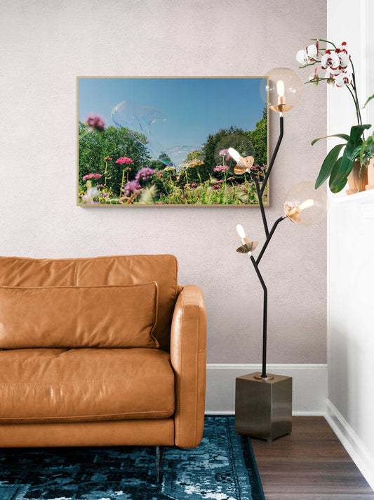 Soapbubble Studies // Monets Meadow , Vienna, Austria