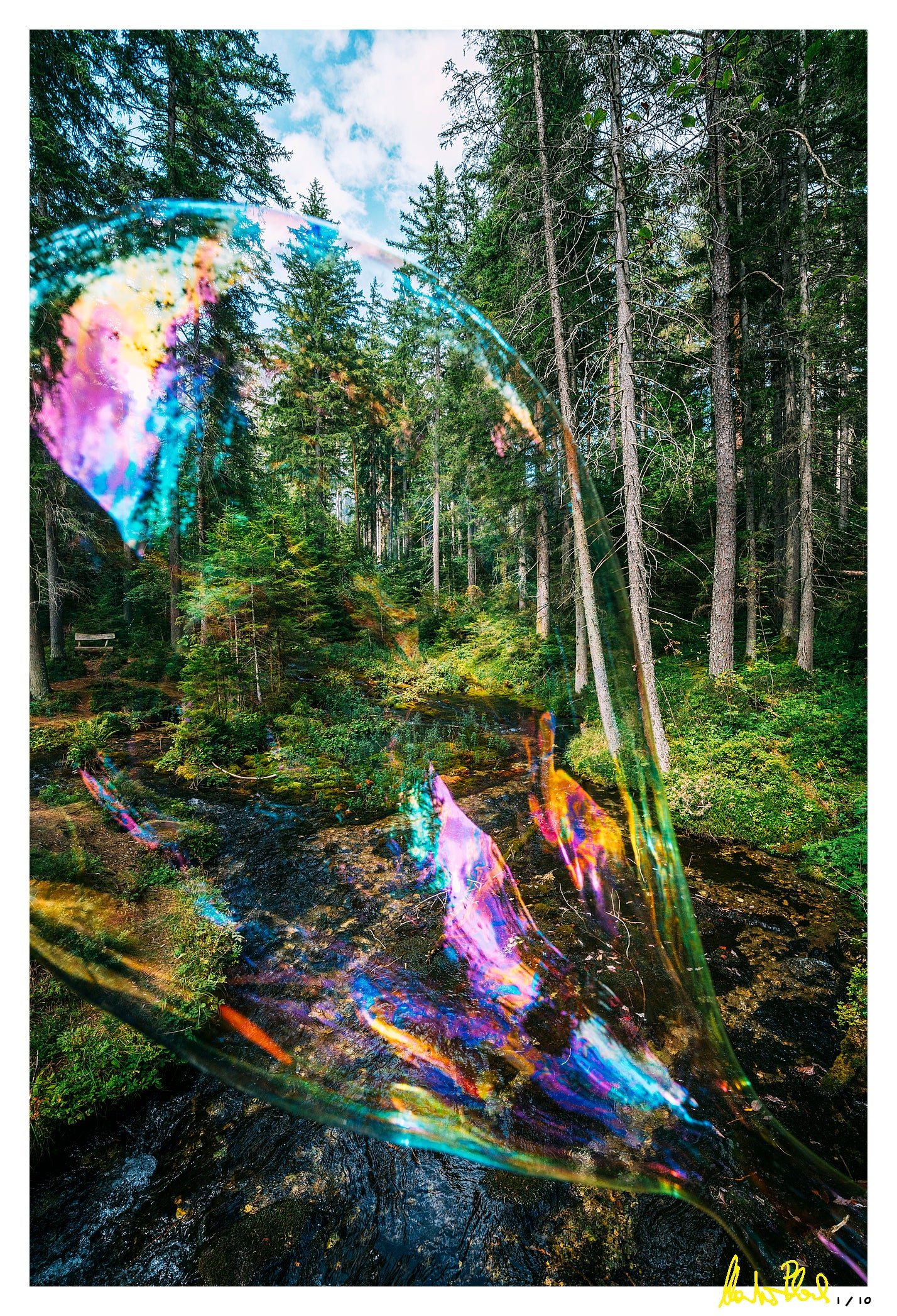 Soapbubble Studies//Forest II