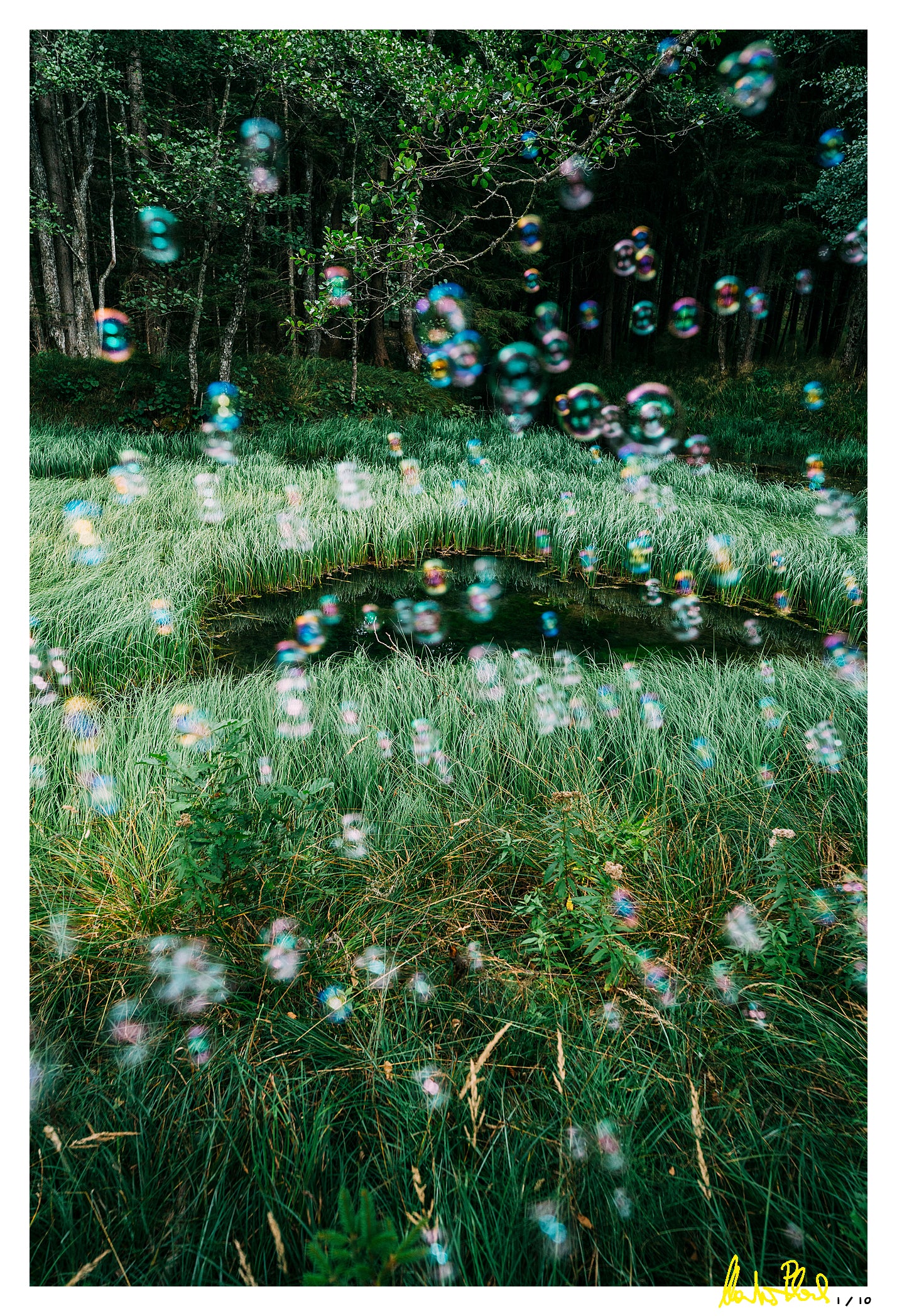 Soapbubble Studies//Pfarrteich