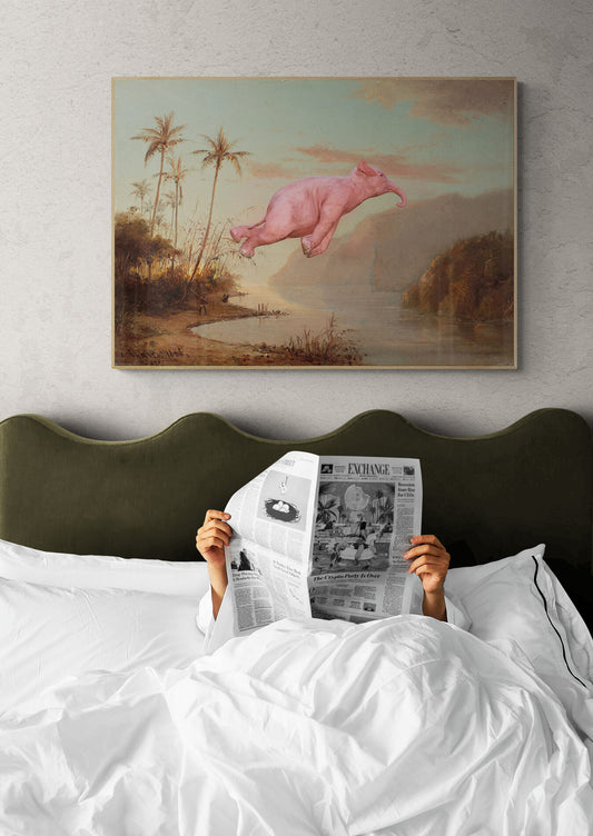 Dream On // Creek in St. Thomas