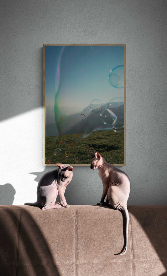 Soapbubble Studies // Hohe Wand IX 2022, Austria