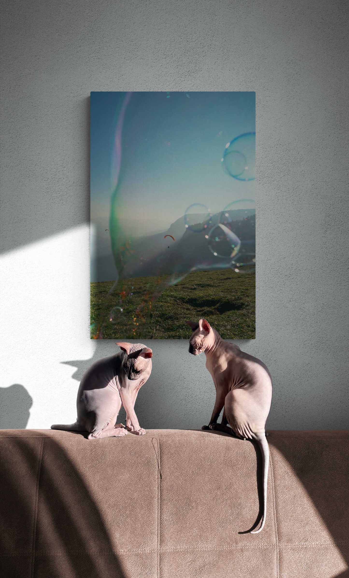 Soapbubble Studies // Hohe Wand IX 2022, Austria