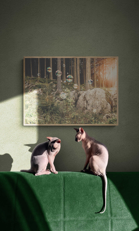 Soapbubble Studies // Il Bosco Che Suona, Italy