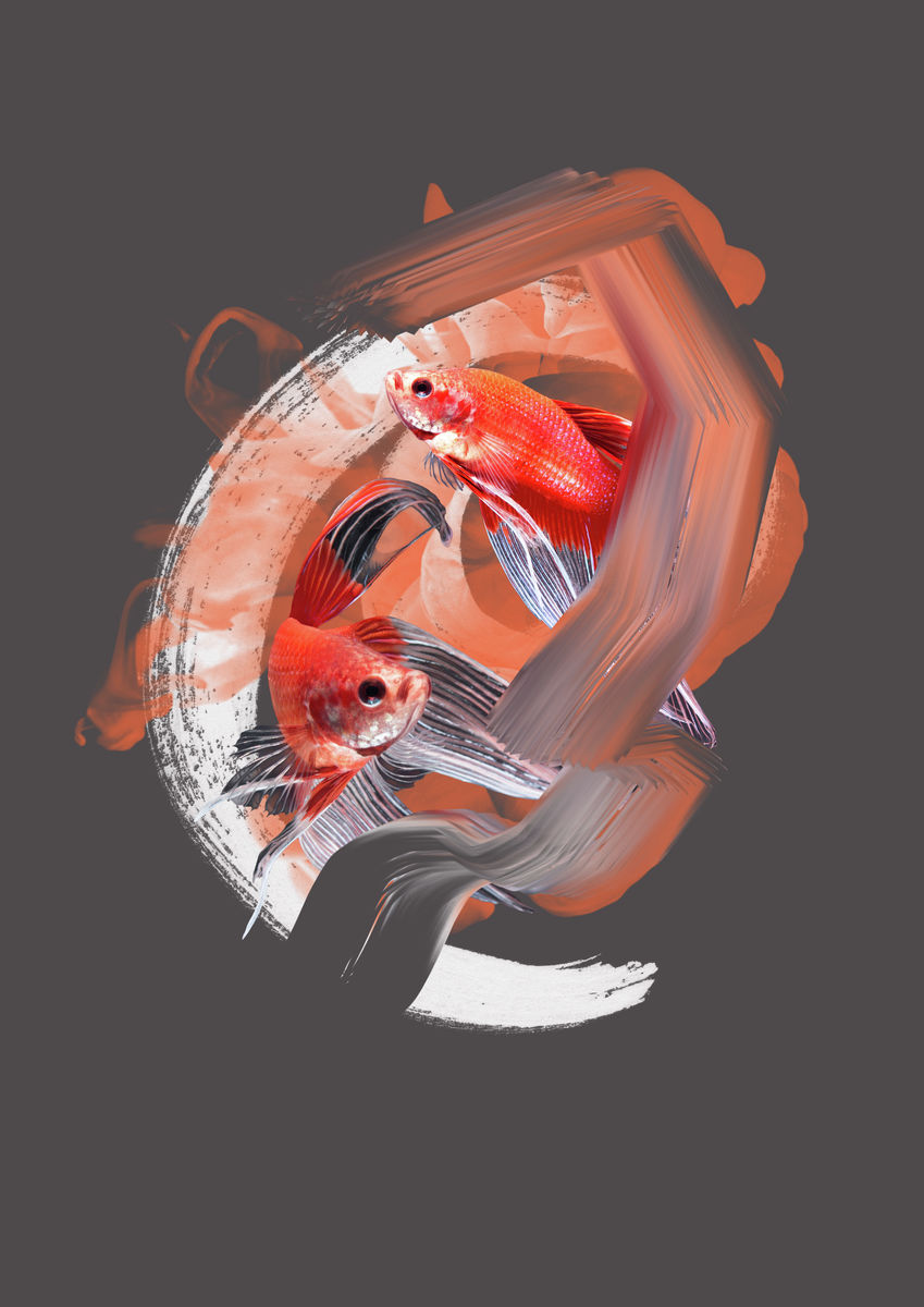 Fresh Fish