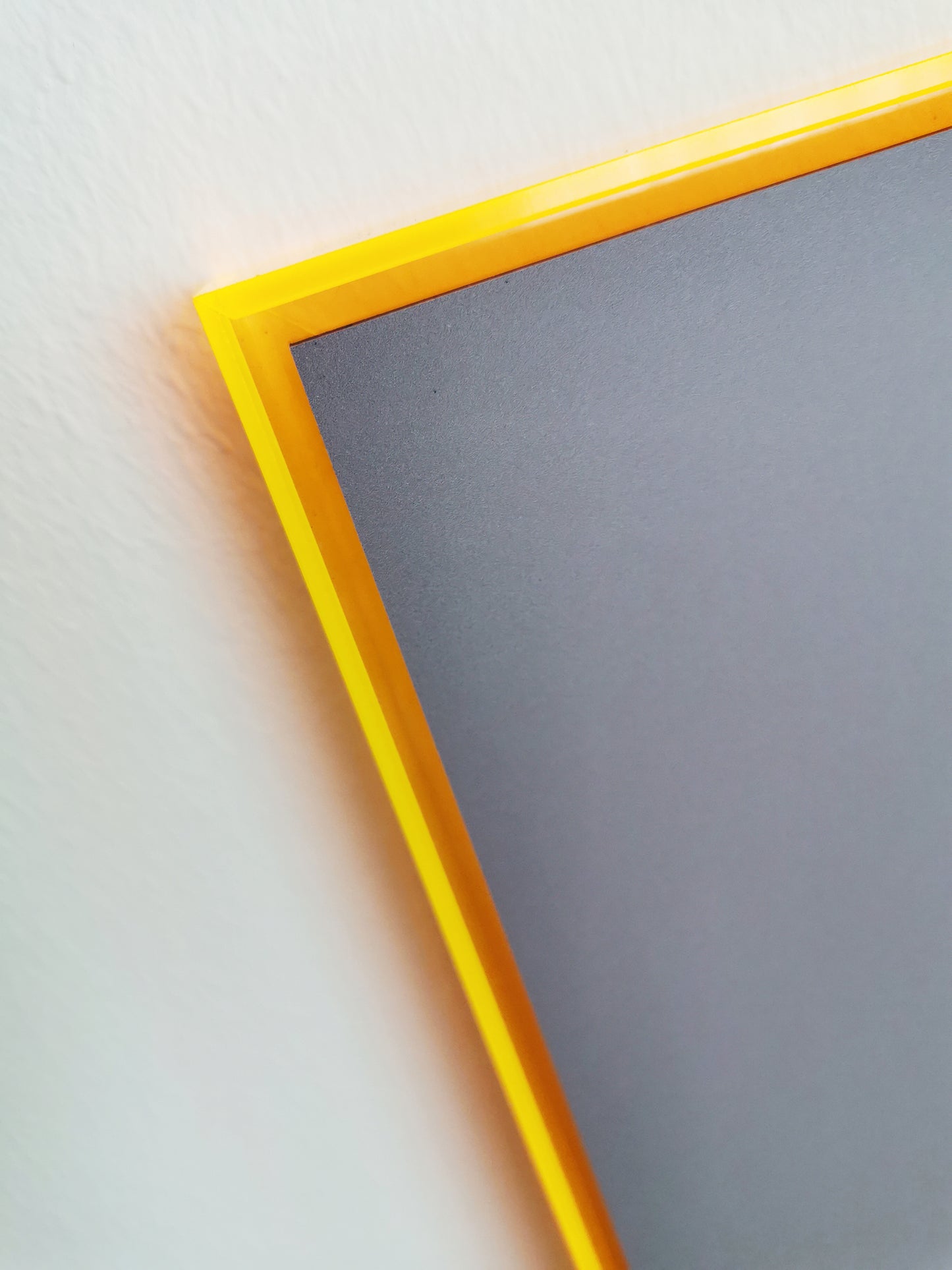 Fresh Fish // Neon Frame Special Edition