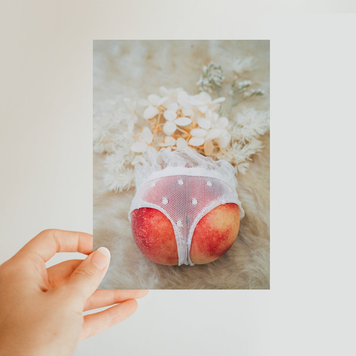 Peachbum // White Postcard