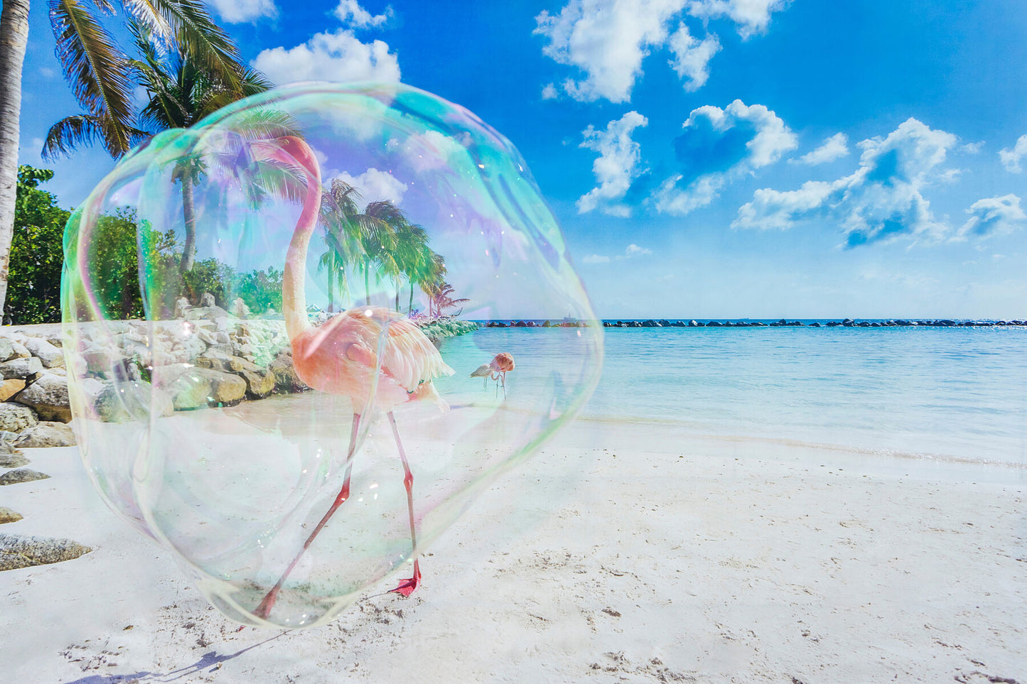 Soapbubble Studies // Lockdown Edition - Bermuda