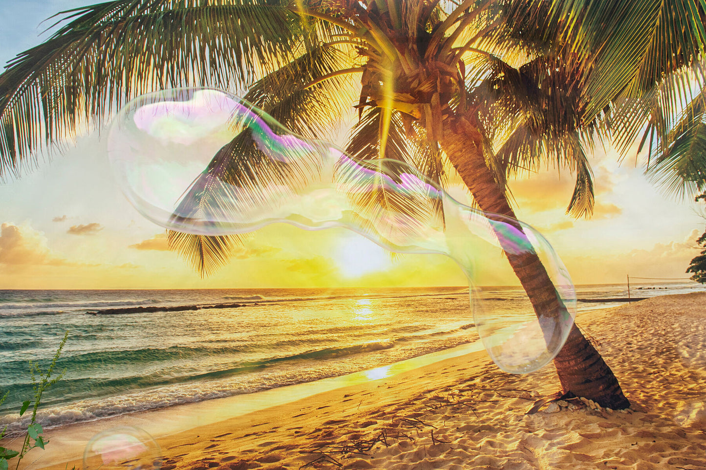 Soapbubble Studies // Lockdown Edition - Mexico