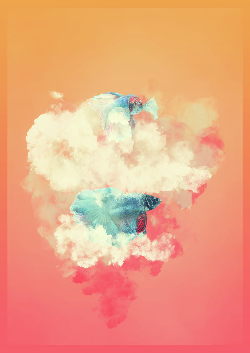Fresh Fish