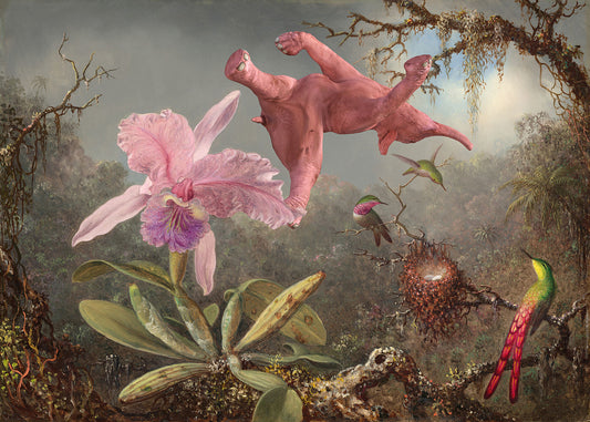 Dream On // One Orchid Three Hummingbirds One Pink Elephant