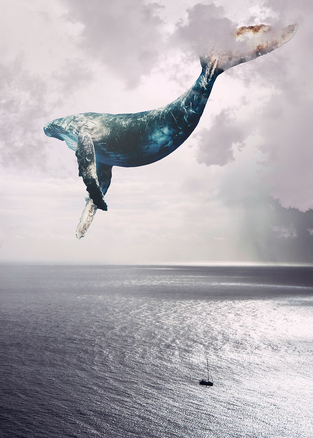 Flying Whale