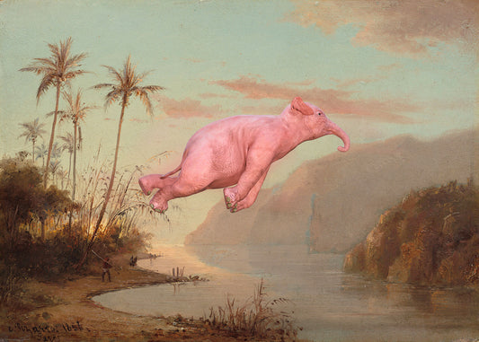 Dream On // Creek in St. Thomas