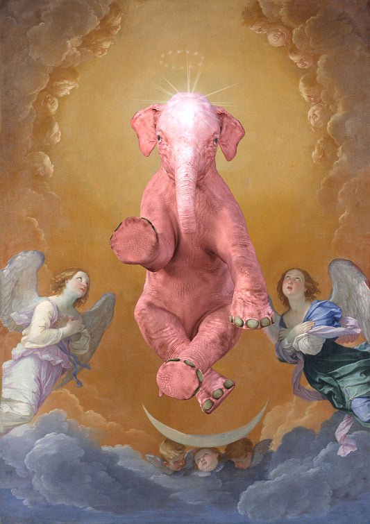 Dream On // The Immaculate One