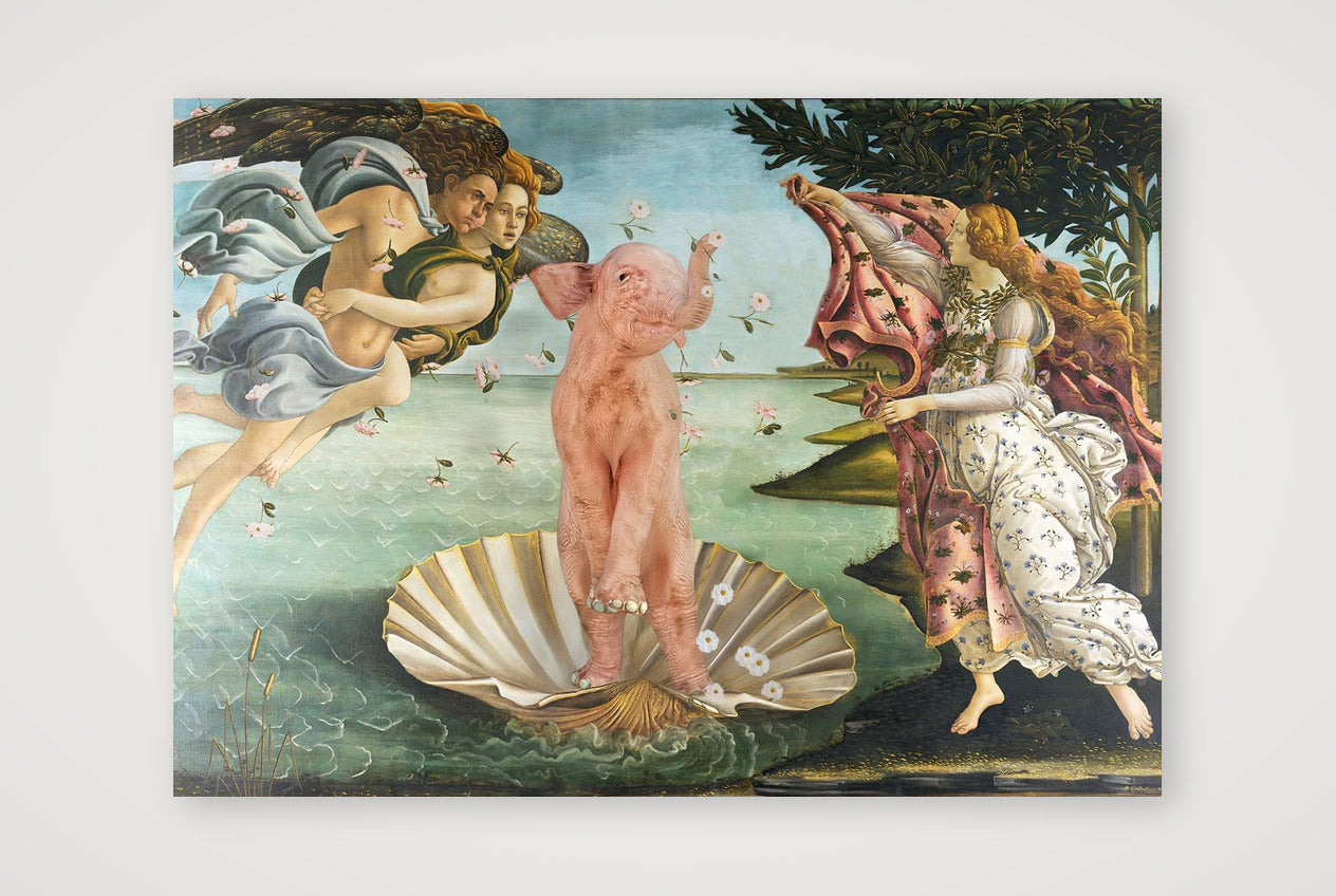 Dream On // Venus — A4 (30×21cm, 12×8") Print only