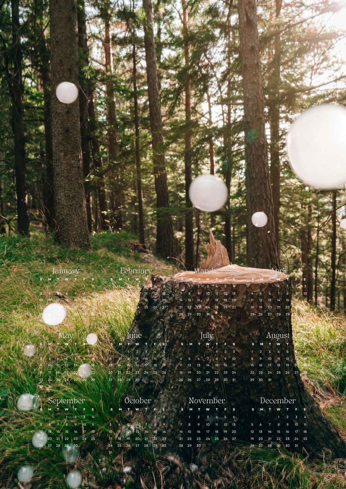 Soapbubble Studies Calendar 2027