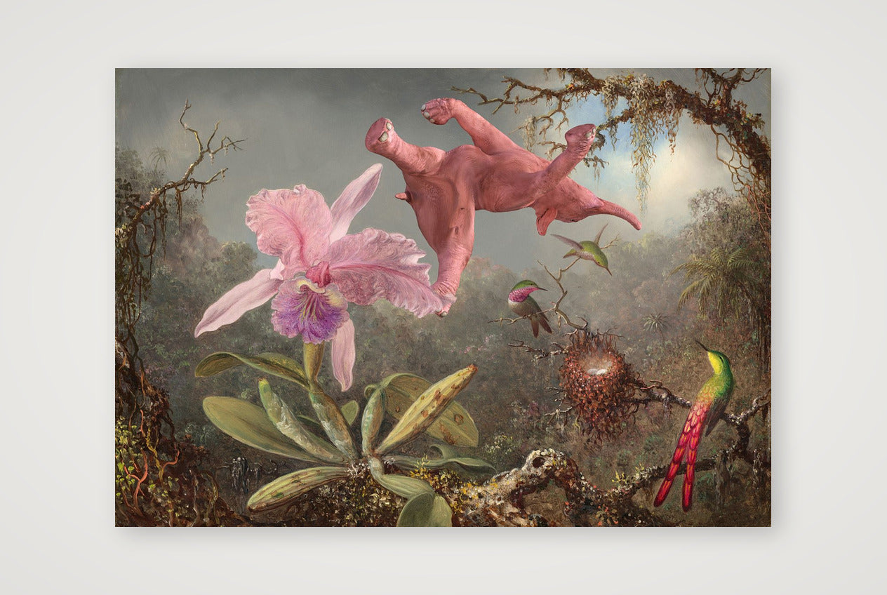 Dream On // 1 Orchid 3 Hummingbirds and 1 Pink Elephant — 100×70cm, 39×28" Print only