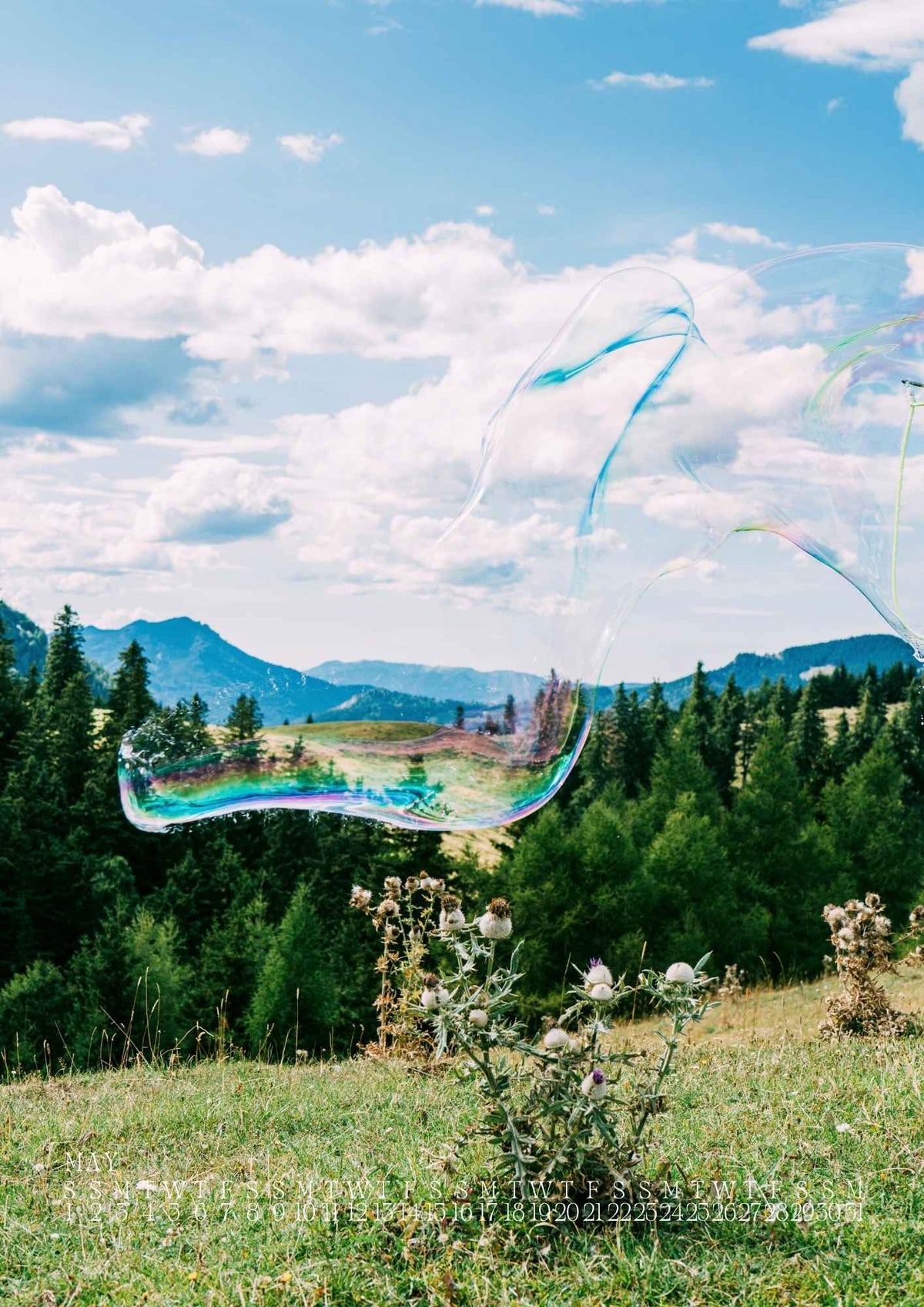Soapbubble Studies Calendar 2027