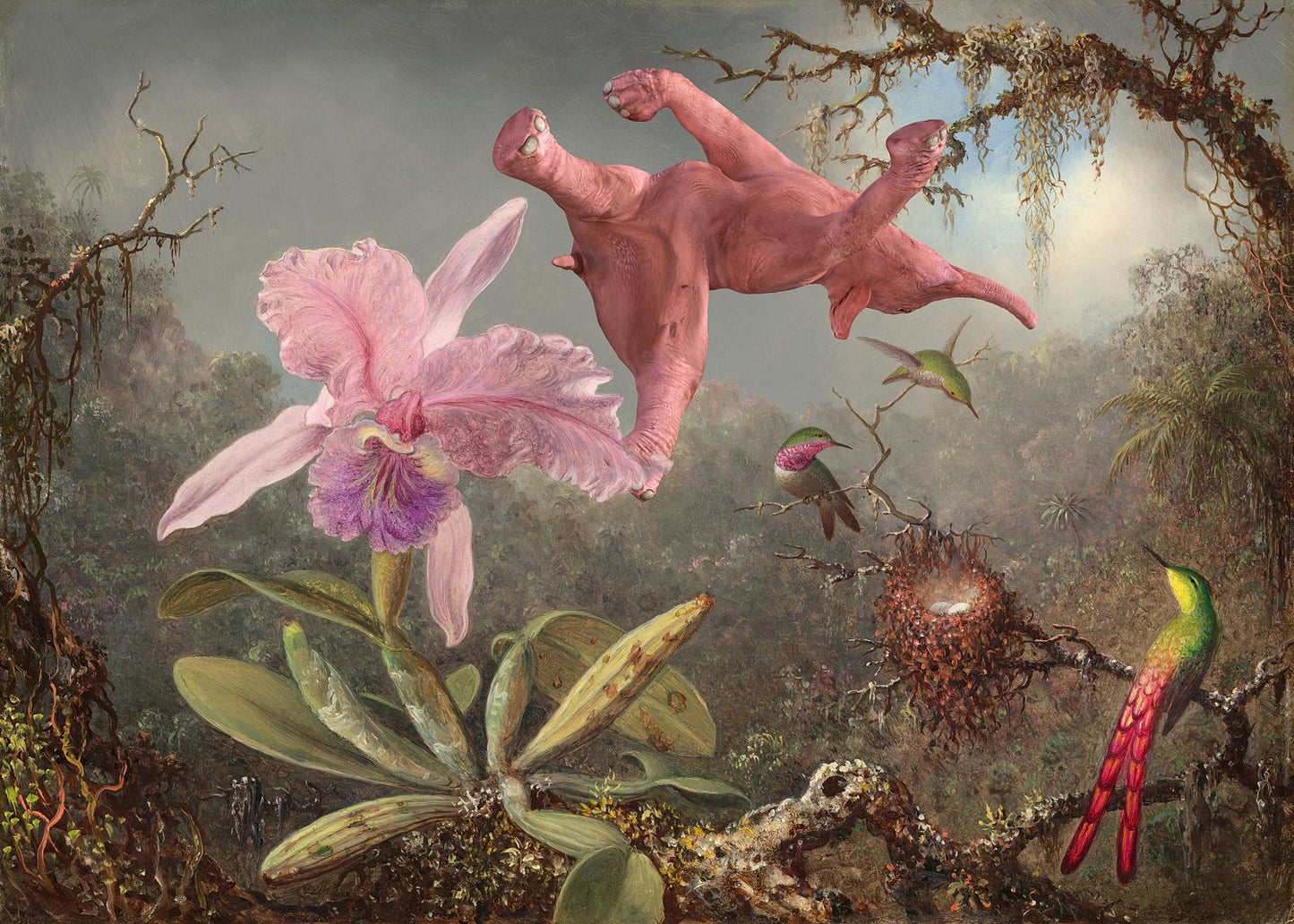 Dream On // 1 Orchid 3 Hummingbirds and 1 Pink Elephant