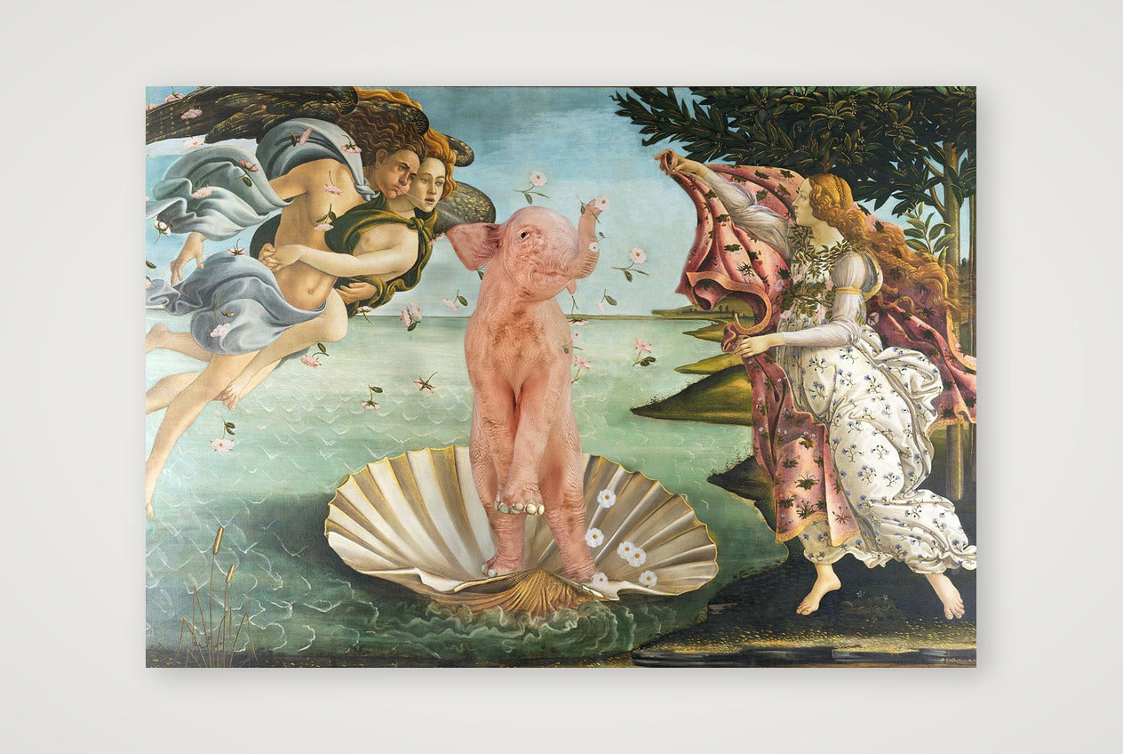 Dream On // Venus — 100×70cm, 39×28" Print only