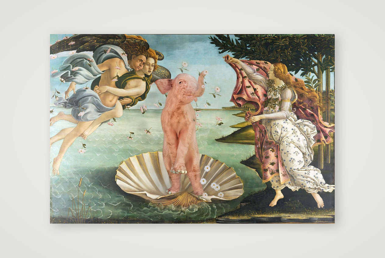 Dream On // Venus — 60×40cm, 24×16" Print only