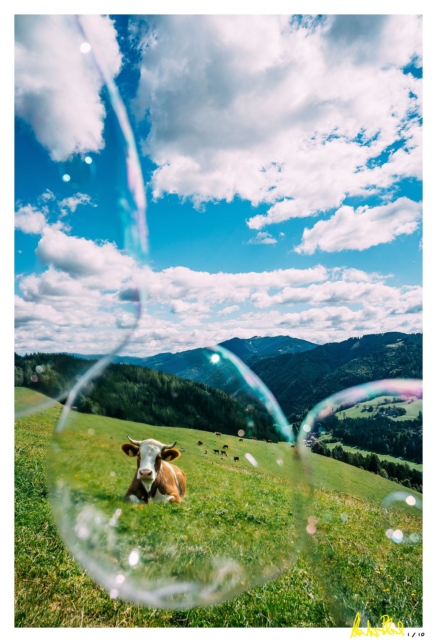 Soapbubble Studies//Etmissl