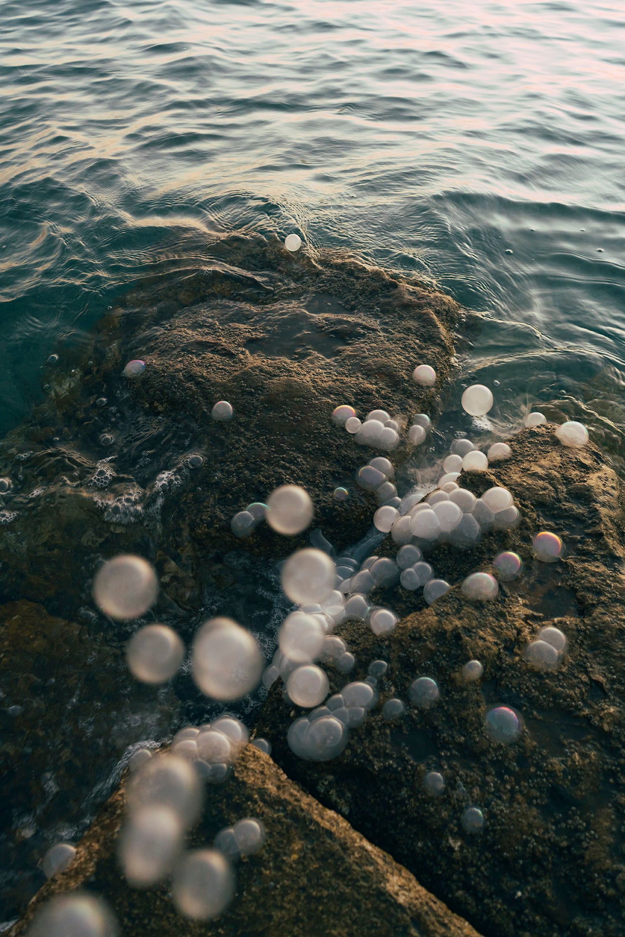 Soapbubble Studies // Croatia 2026 IV – Limited Edition Print
