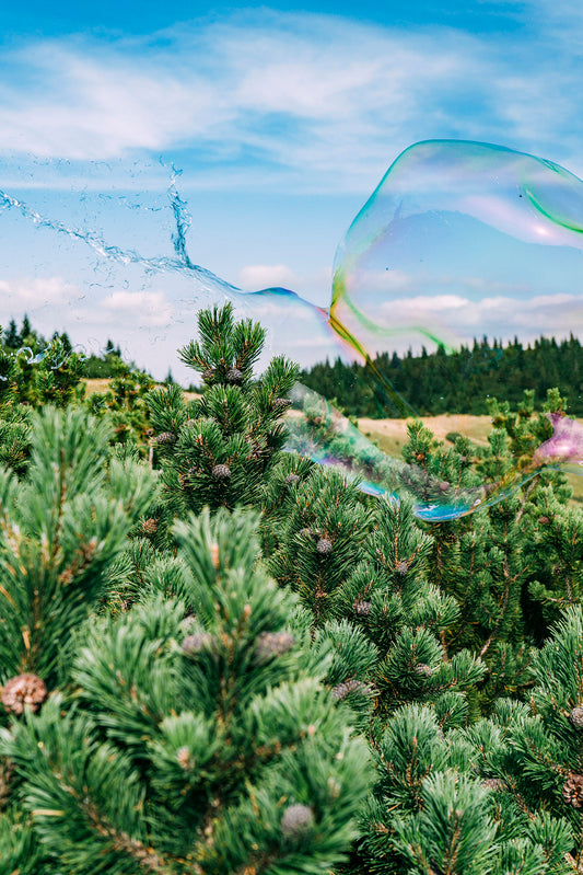 Soapbubble Studies // Rax 26 III – Limited Edition Print
