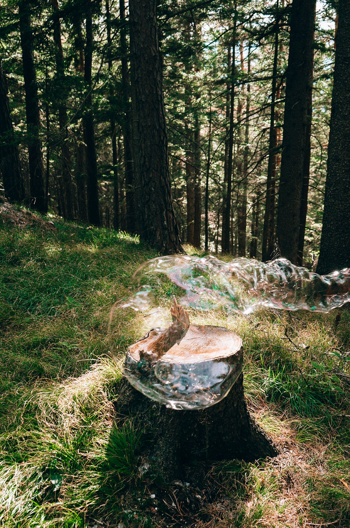 Soapbubble Studies // Hohe Wand, Forest 26 – Limited Edition Print