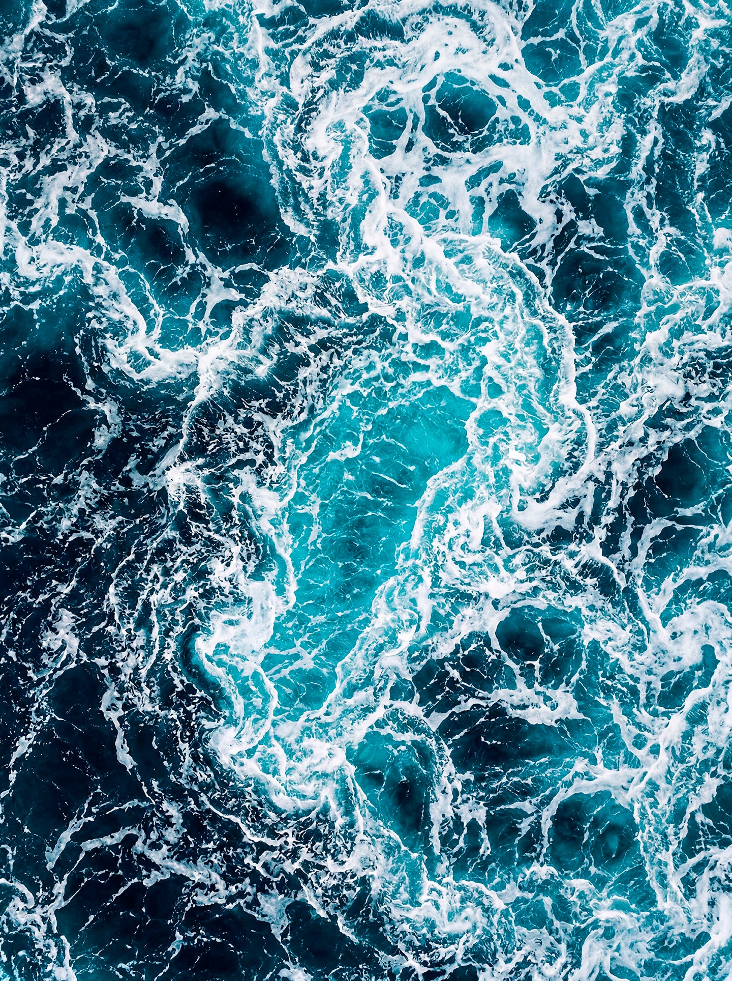 Complete Vitamin Sea Collection (printable)