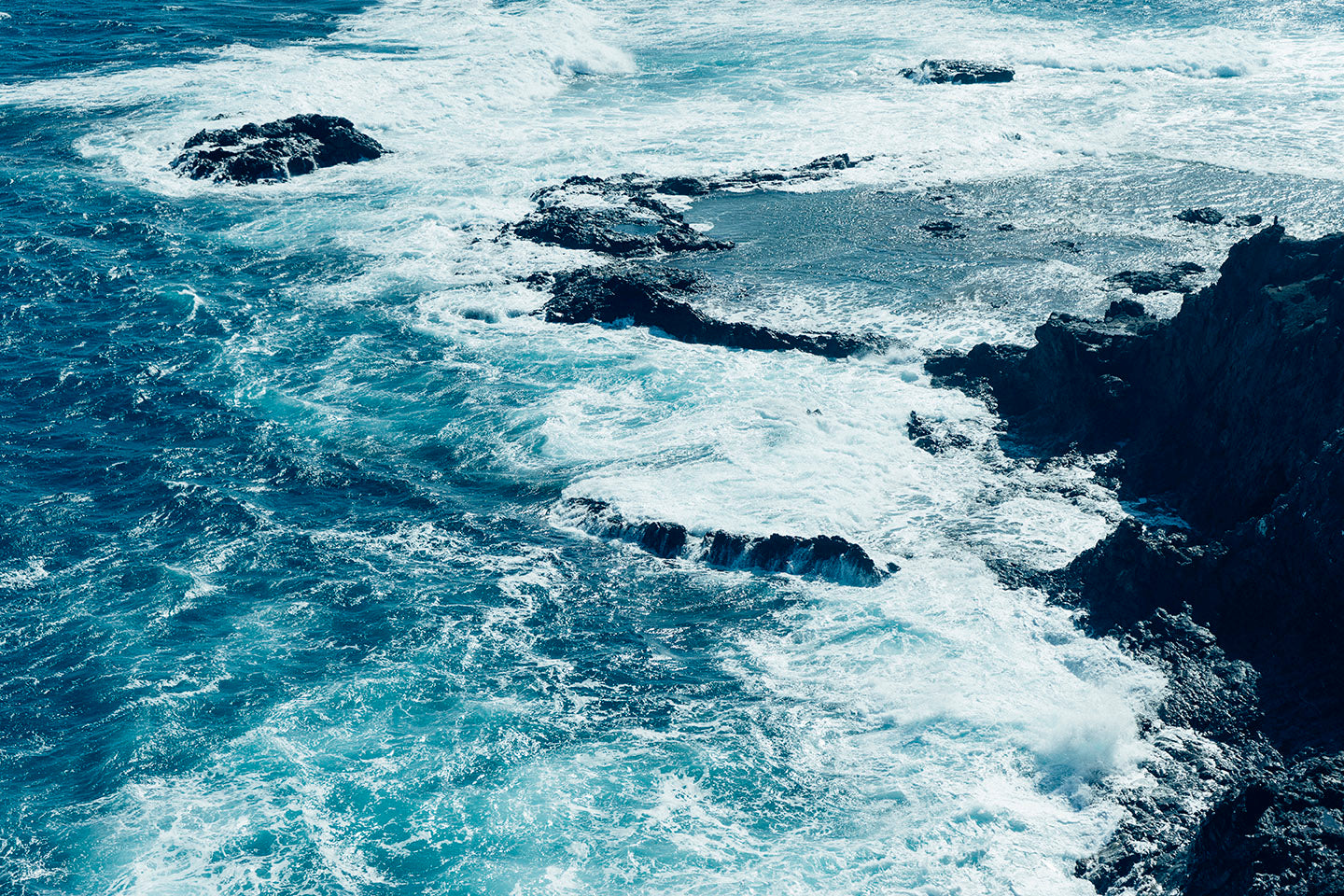 Complete Vitamin Sea Collection (printable)