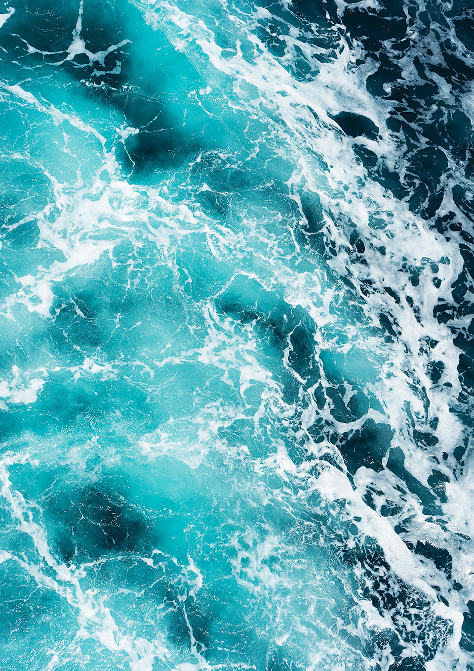 Complete Vitamin Sea Collection (printable)