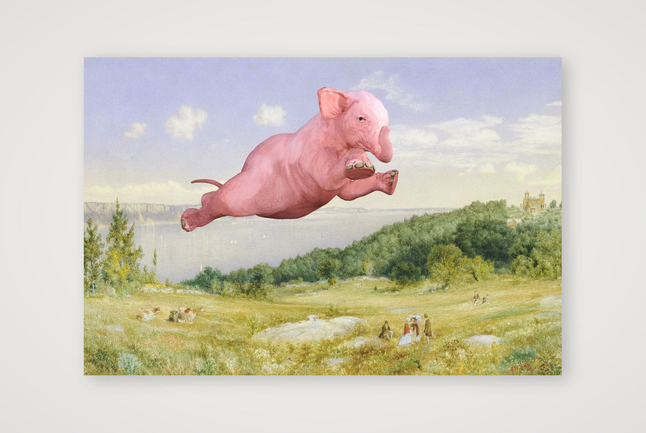 Dream On // Fly — 45×30cm, 18×12" Print only
