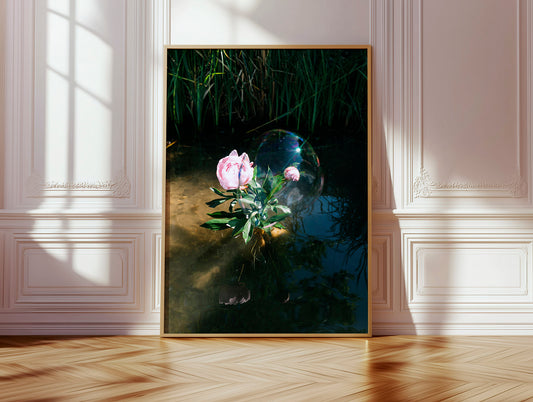 Soapbubble Studies // Old Danube-Vienna,Austria 2023