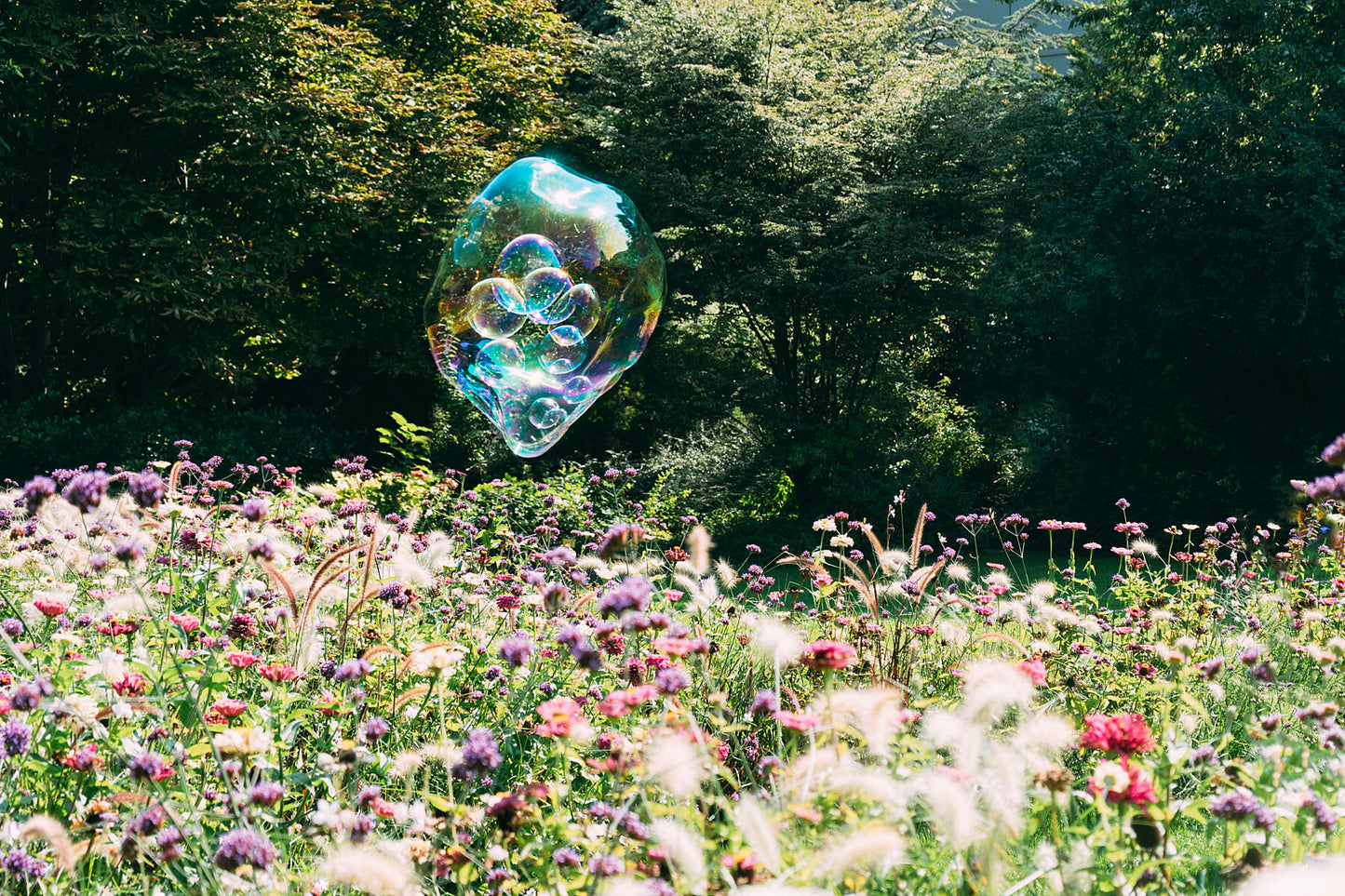 Soapbubble Studies // Monets Garden, Austria
